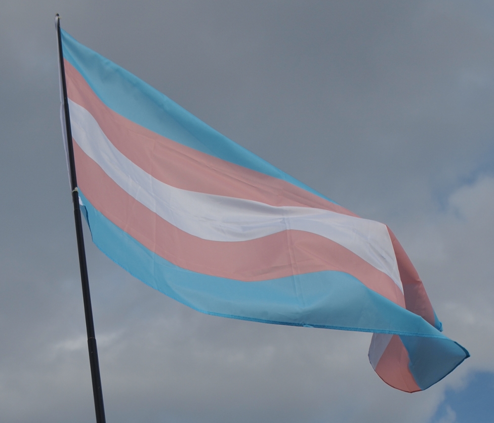 Eine Trans*-Flagge weht im Wind.